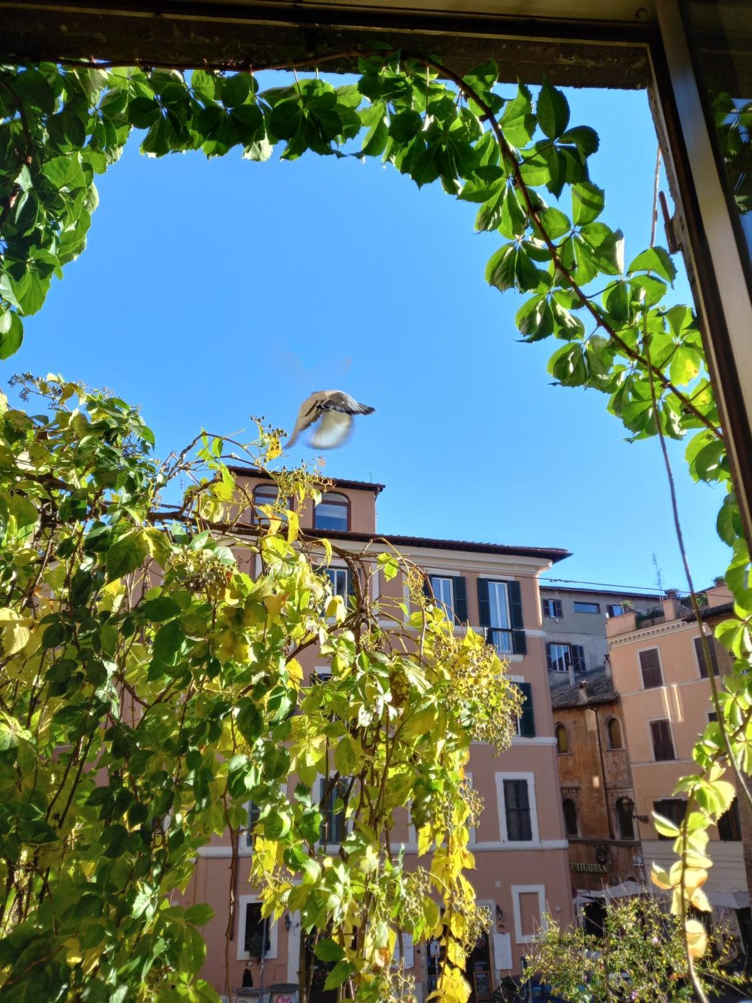 Central Apartment In Trastevere 로마 객실 사진